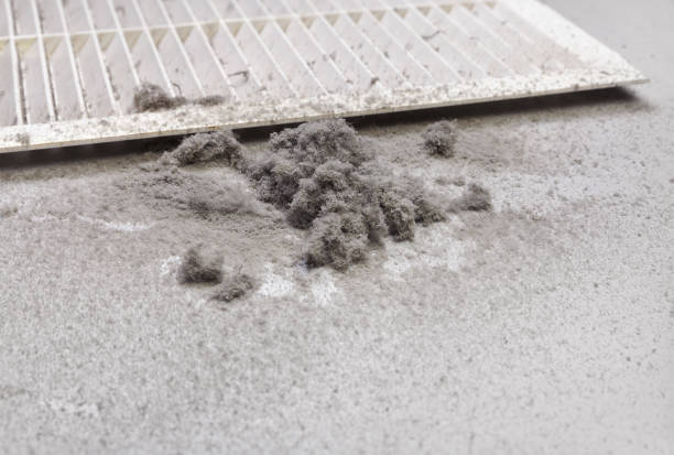 Best Residential Air Duct Cleaning  in Rockville, MN