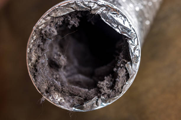 Best Dryer Vent Cleaning Services  in Rockville, MN